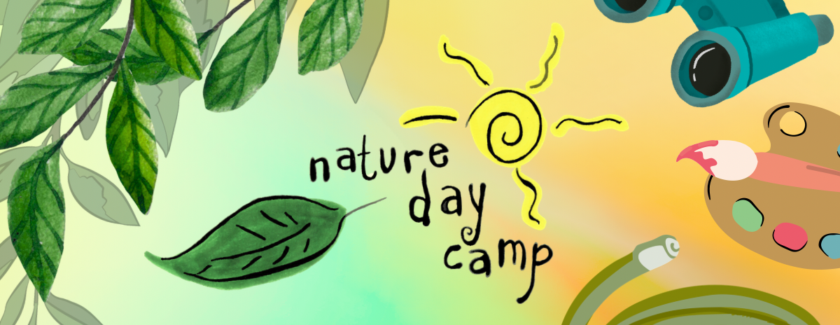 Week 4: Summer Nature Day Camp